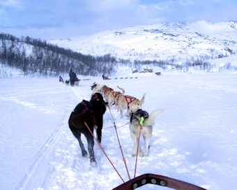 avis scandinavia exclusive voyage sejour laponie finlande avis temoignages clients photos